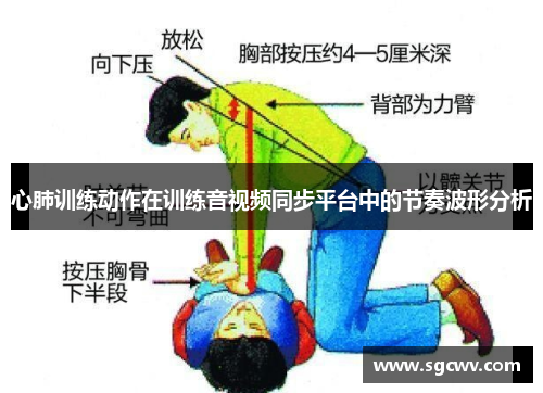 心肺训练动作在训练音视频同步平台中的节奏波形分析